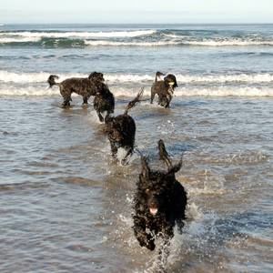 Meet your Posher, Valerie